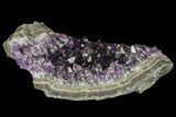 Purple Amethyst Cluster - Uruguay #66716-3